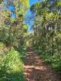 Nascer do Sol no Pico do Lopo + Rapel - Imagem 5