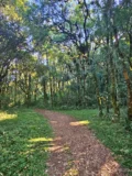 Nascer do Sol no Pico do Lopo + Rapel - Imagem 2
